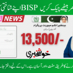 Check Your BISP 8171 Results Online with CNIC Complete Guide 2025