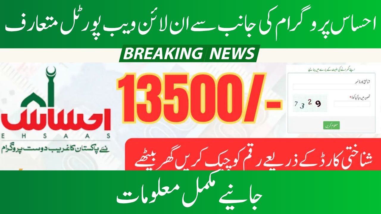 Web Portal for Ehsaas Program 8171