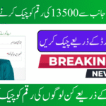 BISP 8171 Portal 2025: Verify Your Eligibility