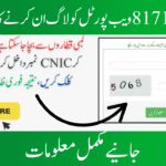 8171 Web Portal Login