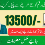 8171 Validation To Verify BISP 13500 Payment With ID Card