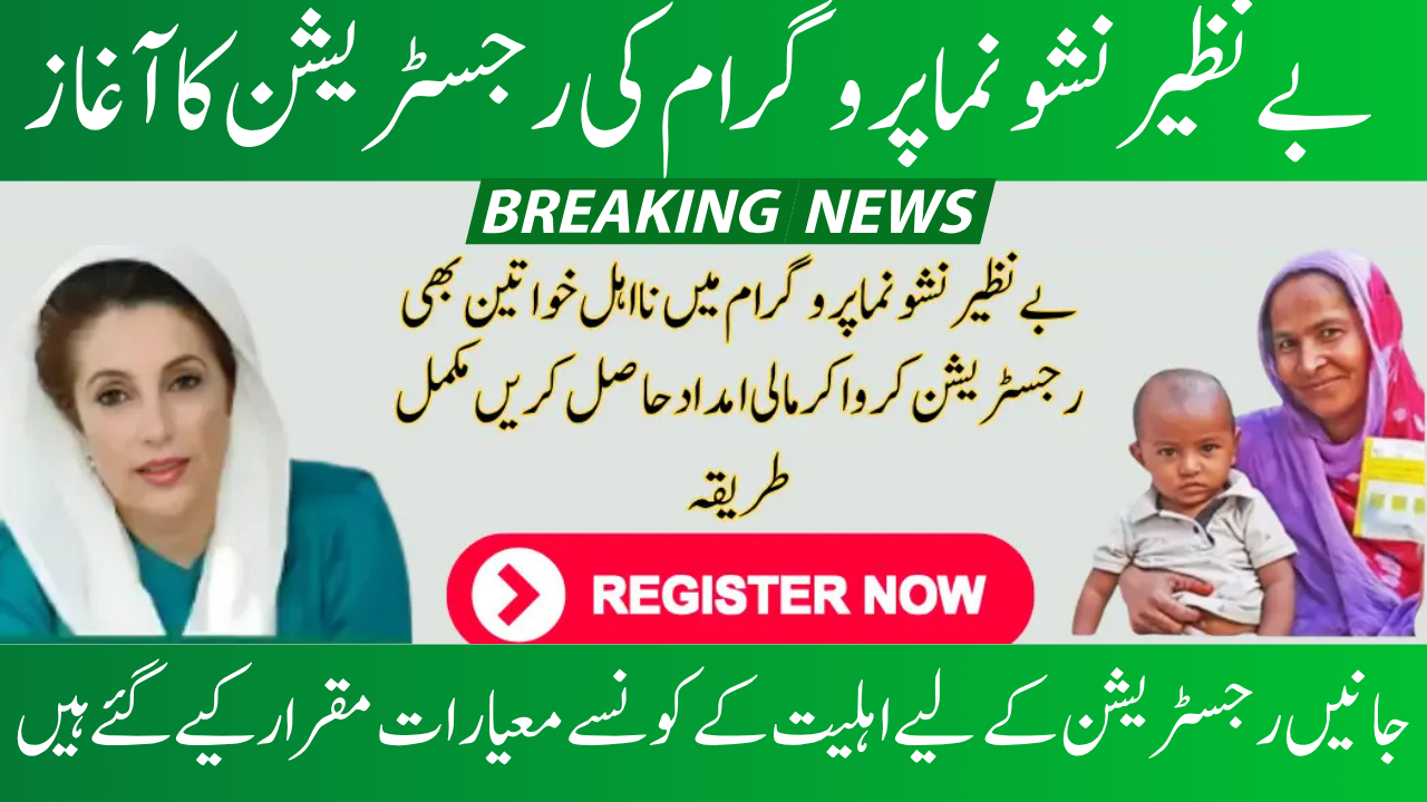 Benazir Nashonuma Program 2025