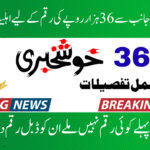 BISP 8171 Eligibility for Payment in July 2025